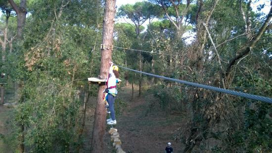 Il Pescatore Bed & Breakfast *